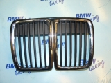 ledvinka , E30